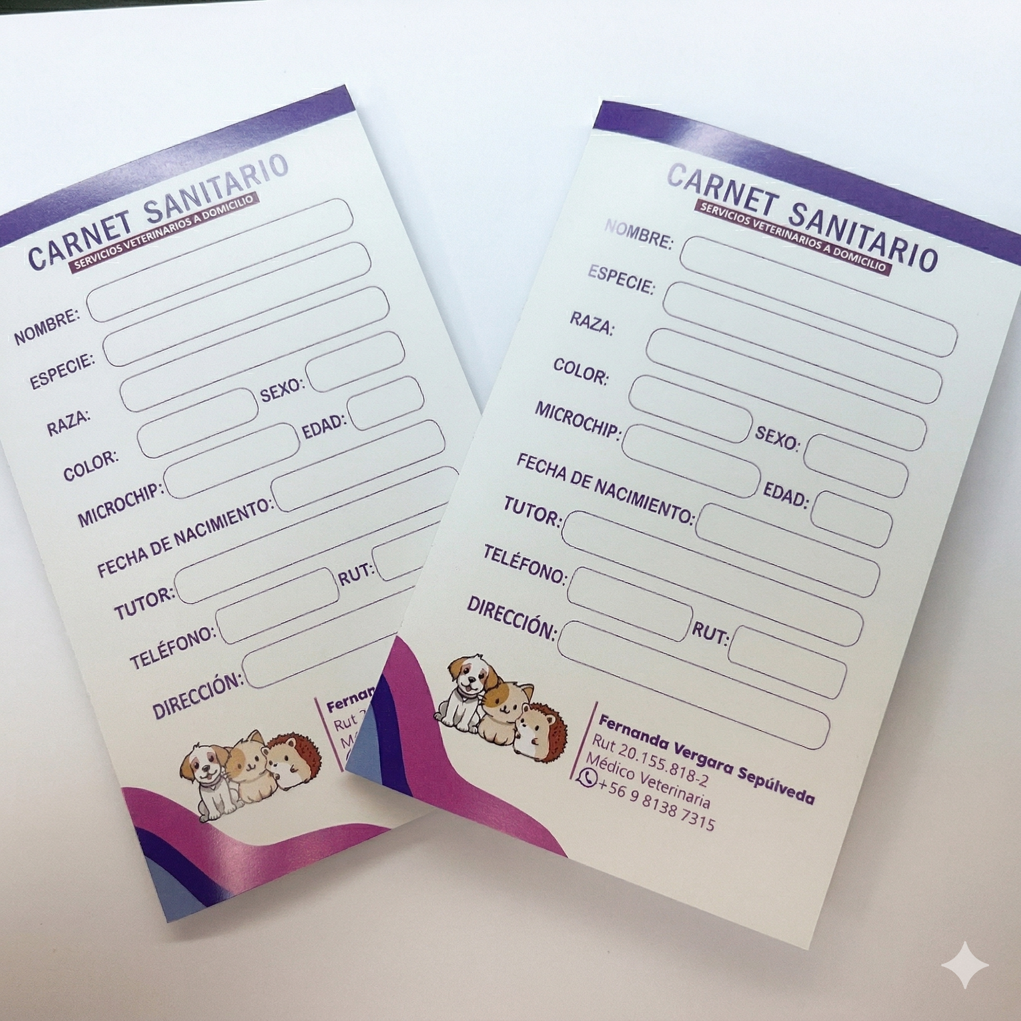 Carnet control/registro
